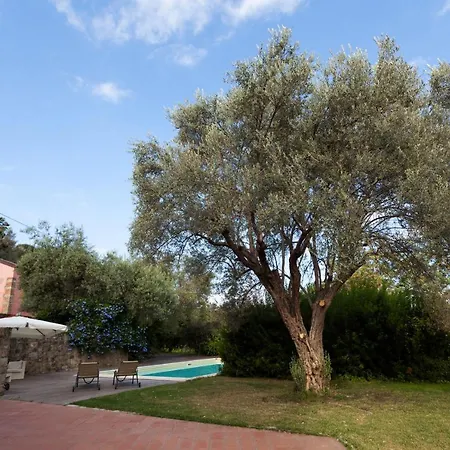 Country house Agricontura *