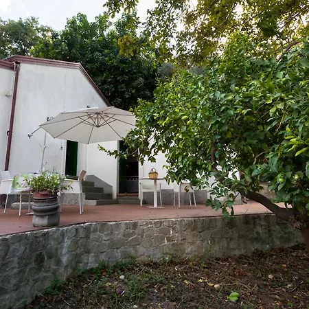 Agricontura