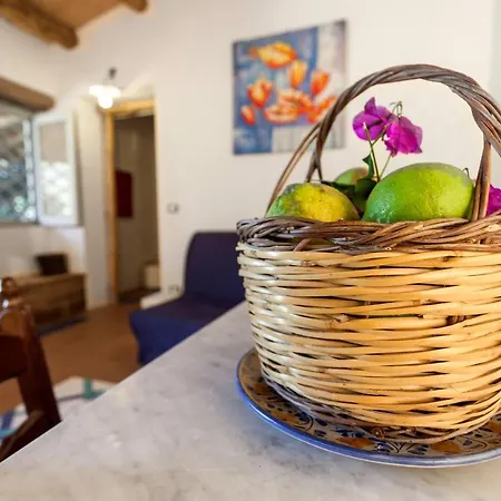 Country house Agricontura